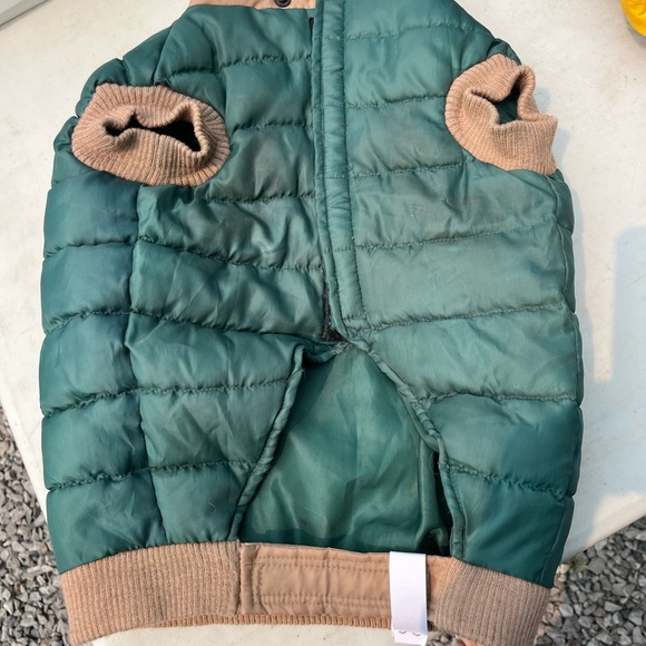 Dog Accessories - Picture 4 of 12